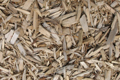 biomass boilers Findern